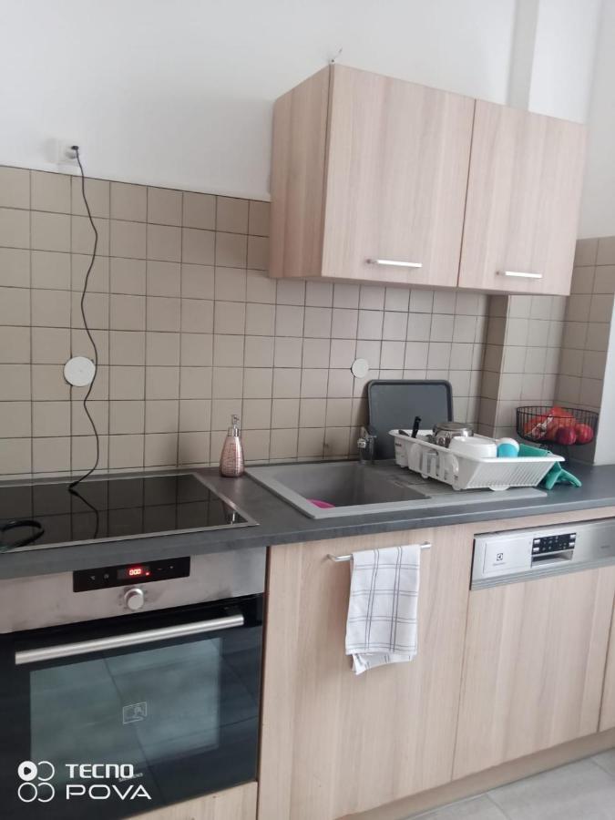 Grand Appartement Au Coeur De Straßburg Exterior foto